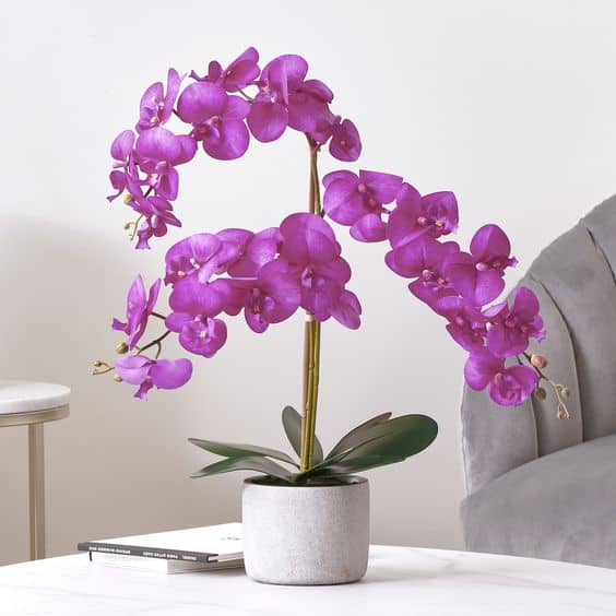19 decoracao orquidea artificial roxa Pinterest