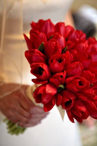 2 buque de noiva de tulipas vermelhas Pinterest