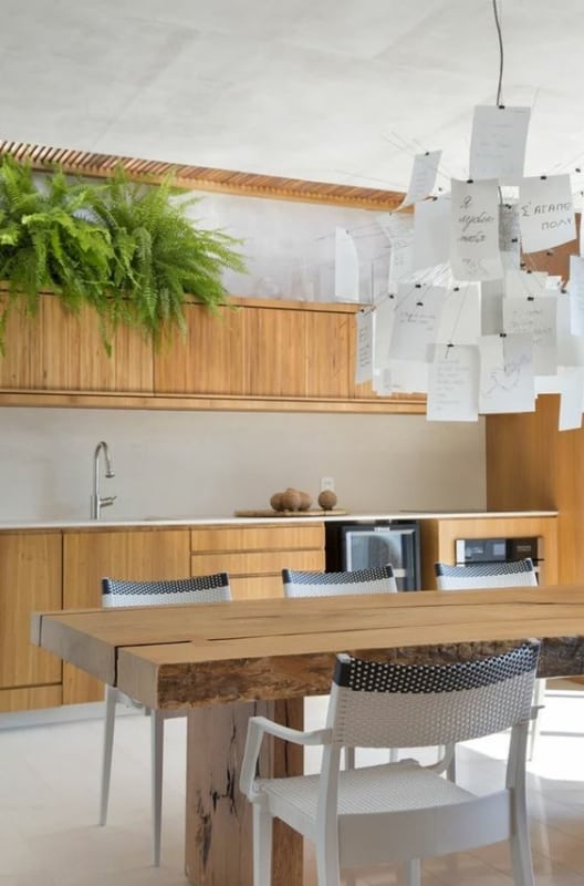 2 cozinha moderna com samambaia americana Pinterest
