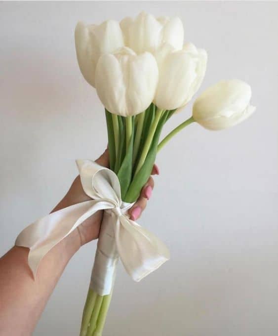 20 buque simples e pequeno de tulipas brancas Pinterest