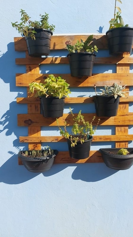 20 vasos plasticos para horta vertical Pinterest