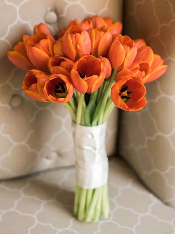 21 buque laranja de tulipas The Knot