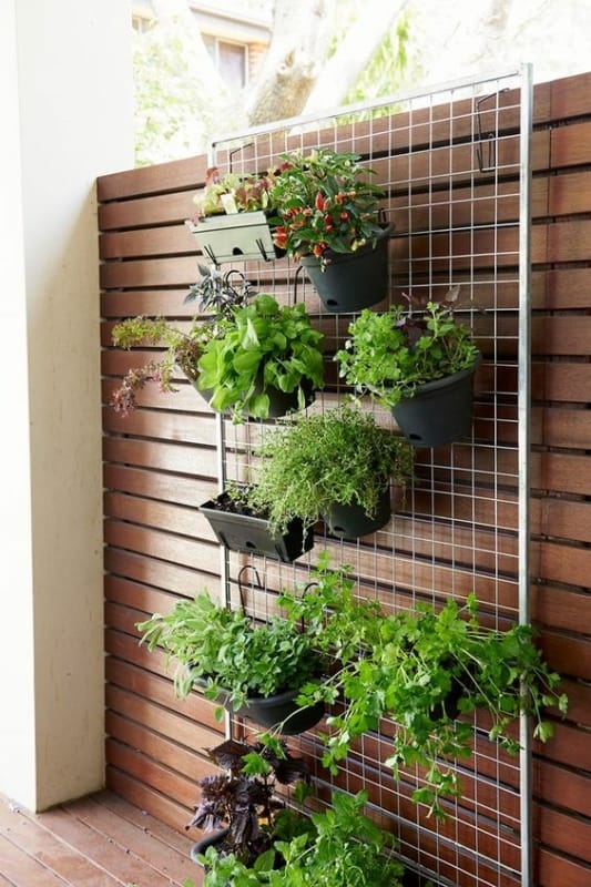 21 horta vertical com vasos pequenos Pinterest