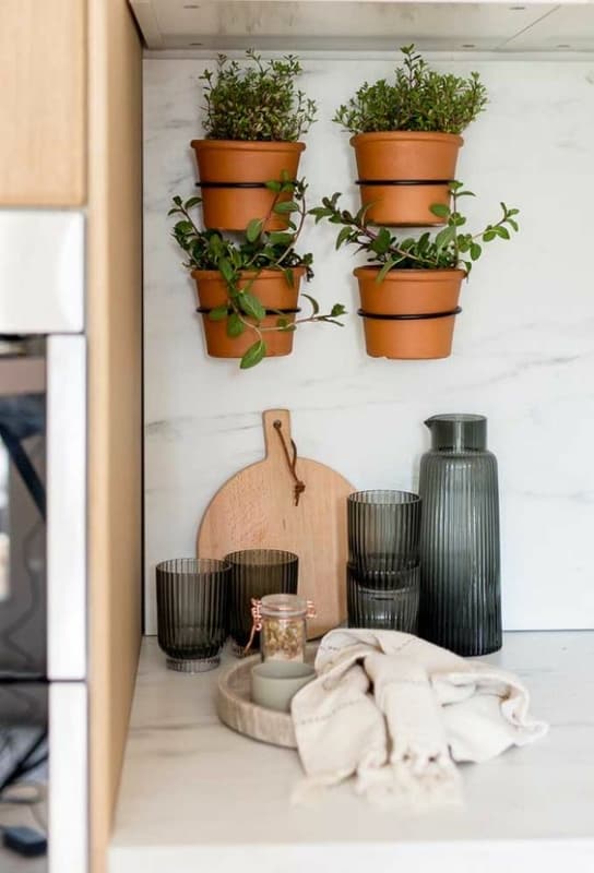 22 vasinho para horta em apartamento Pinterest