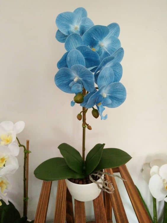 25 orquidea artificial azul claro Pinterest
