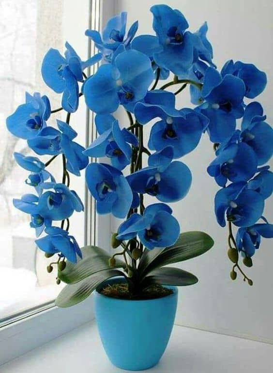 26 arranjo de orquidea artificial azul Pinterest