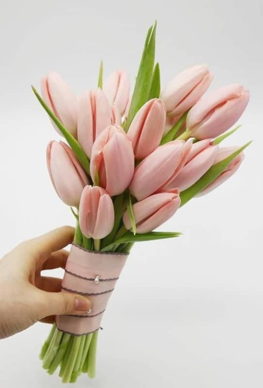 26 buque rosa claro de tulipas Pinterest