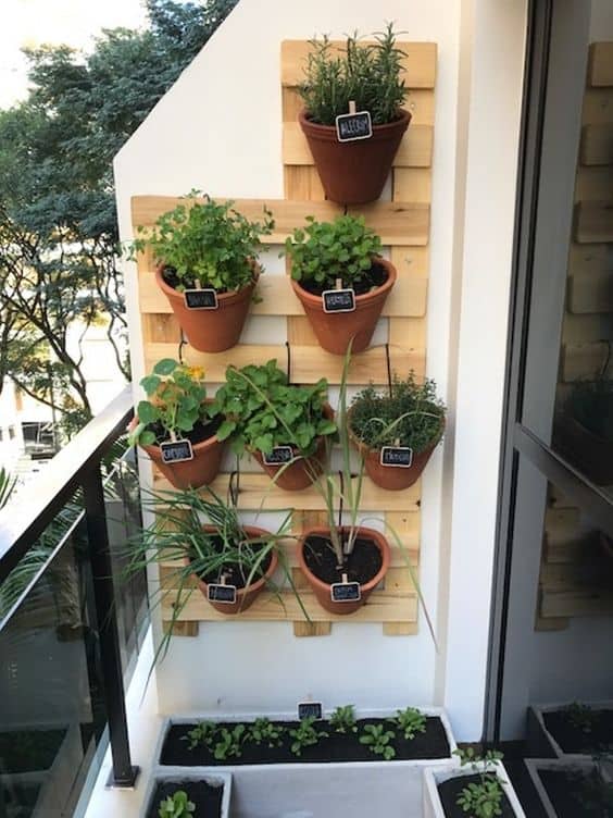 26 horta em vasos sacada apartamento Pinterest