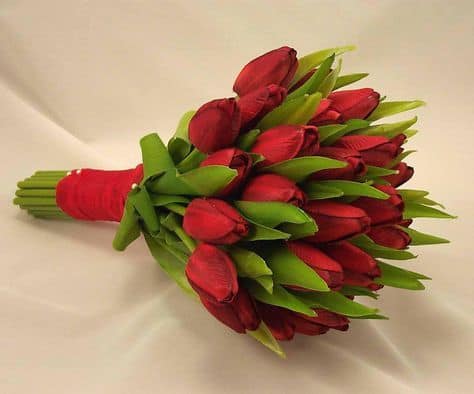 3 buque de tulipas vermelhas Pinterest