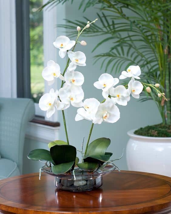 3 flores de orquidea artificial branca Pinterest