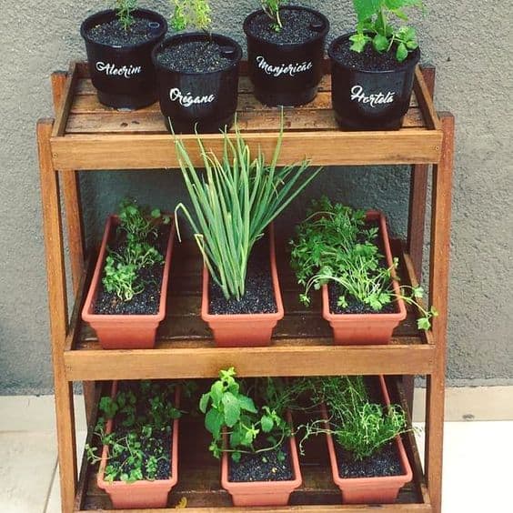 3 vasos pequenos para horta em casa Pinterest
