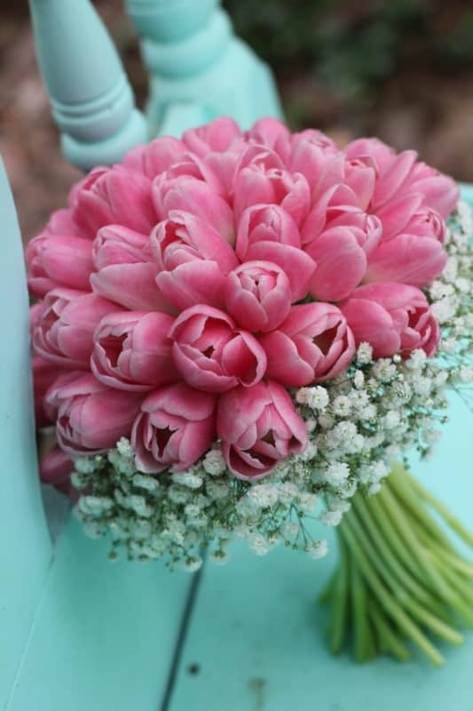 30 buque de tulipas cor de rosa Pinterest
