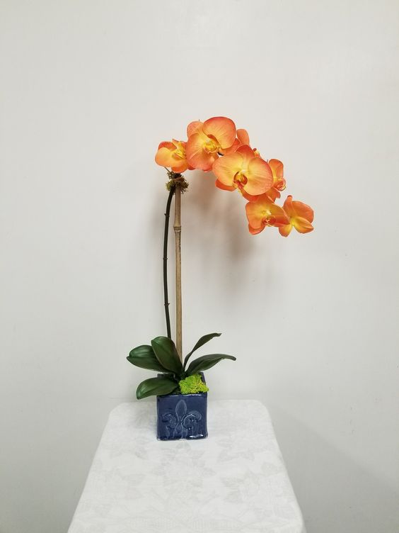 32 arranjo simples de orquidea artificial phalaenopsis Pinterest