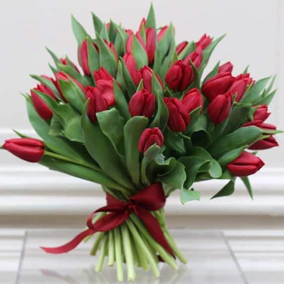 4 buque vermelho de tulipas Pinterest