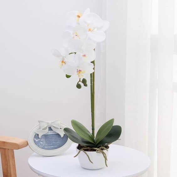 4 decoracao com orquidea artificial branca Pinterest