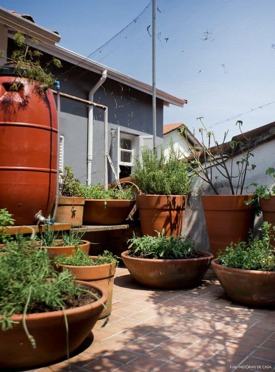 9 quintal com vasos grandes para horta Historias de Casa
