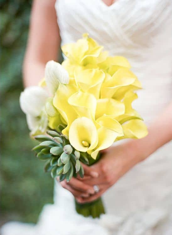 14 noiva com buque de copo de leite amarelo claro Wedding Chicks