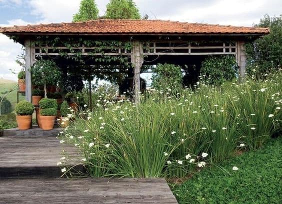 5 jardim rustico com moreia Pinterest