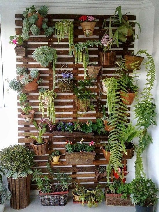 9 jardim vertical com samambaias em vasos Casa Abril