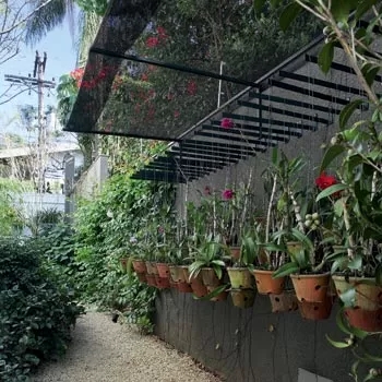 10 orquideas com tela sombreamento Casa e Jardim