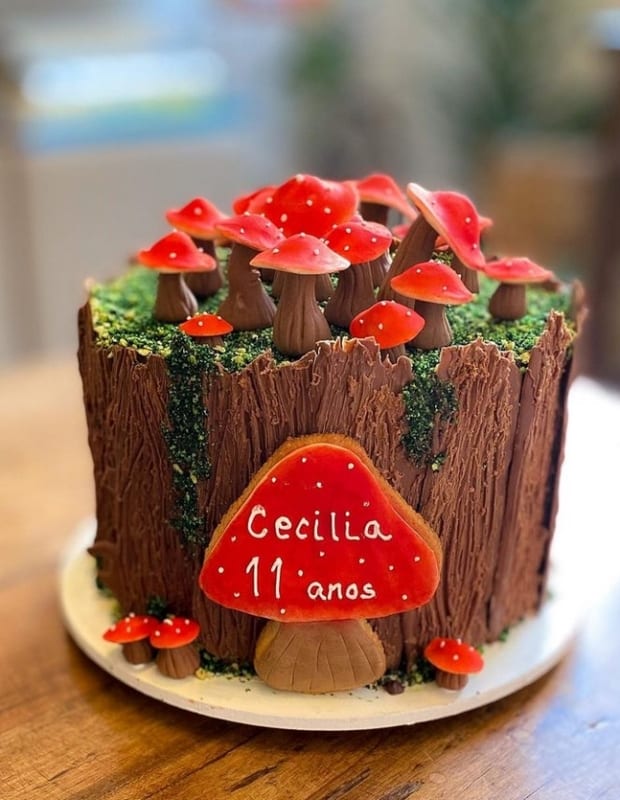 48 decoracao de bolo infantil de chocolate @adrianabenevidesbolos