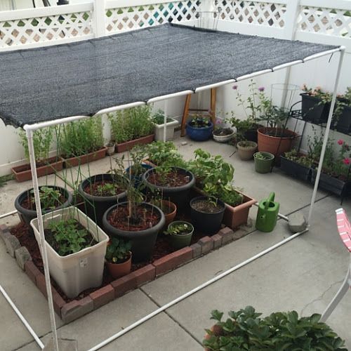 7 estrutura de sombrite para horta em casa Pinterest