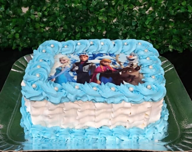 15 bolo simples e quadrado Frozen @amandah cakes