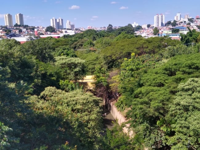 12 parque linear brasileiro Wikipédia
