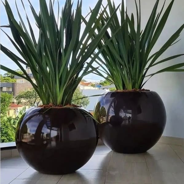 14 vasos redondos com plantas em fibra de vidro @shinefloweratelier