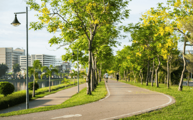 3 benefícios e vantagens da arborização urbana AgroPós