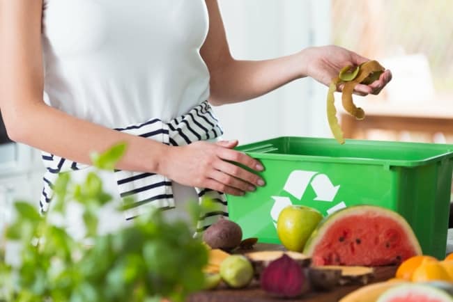 3 dicas separação lixo orgânico Site Sustentável