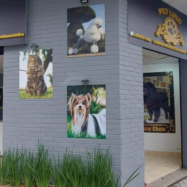 16 fachada simples pet shop Pet Luxo