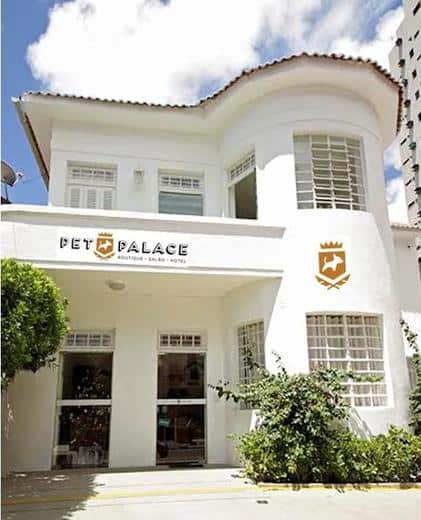 17 fachada luxo pet shop Petboop