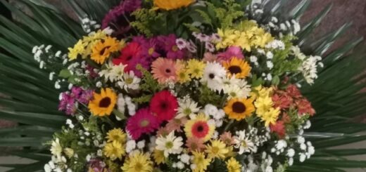 17 arranjo para igreja com flores coloridas @floricultura encanto floral