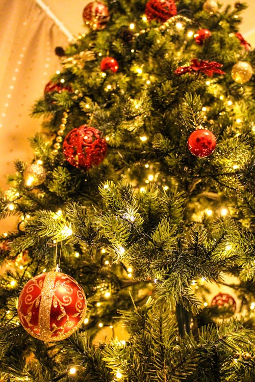 1 passo a passo para montar árvore de natal Pexels