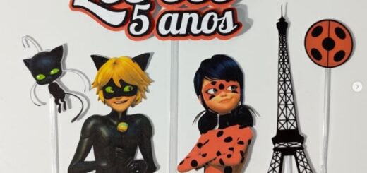 16 topo de bolo Ladybug e Cat Noir @jocaarteria